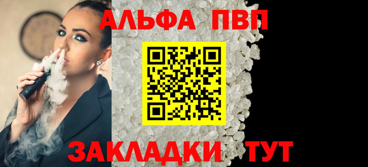 Альфа ПВП СК КРИС Кировск