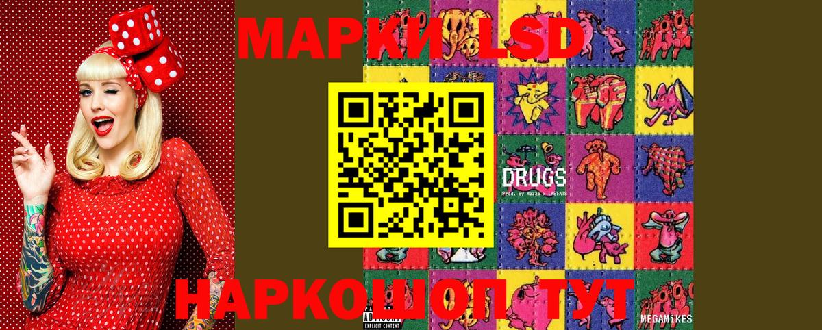 APVP Кировск