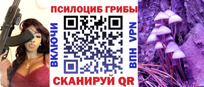 Галлюциногенные грибы Cubensis  МЕГА онион  Кировск  купить наркоту 